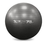 Physical Stability Balance Ball