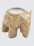British Fossils Elephant 4