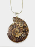 Fossil Ammonite Pendant